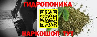 крисы Белореченск