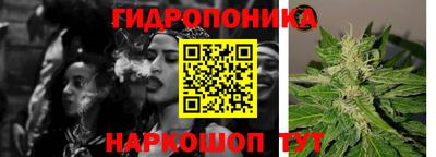 крисы Белореченск