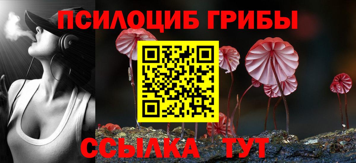 Псилоцибиновые грибы Psilocybe  Галлюциногенные грибы мухоморы  Вход с VPN  Городец 