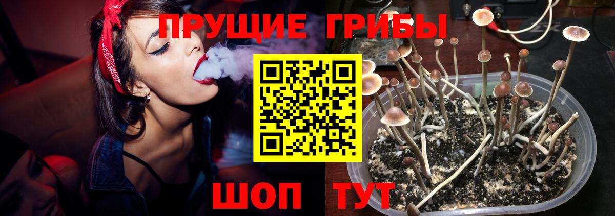 Псилоцибиновые грибы GOLDEN TEACHER Городец